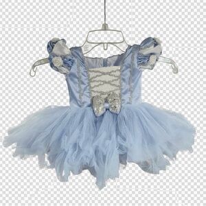 Cinderella Dream Tutu Dress for Toddler & Baby